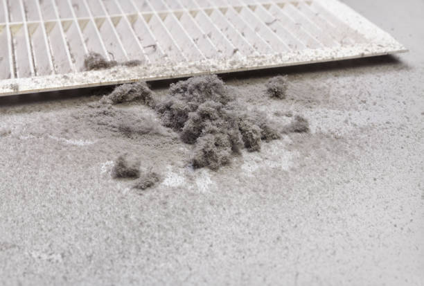 Best Ductwork Cleaning Services  in Martinsville, VA