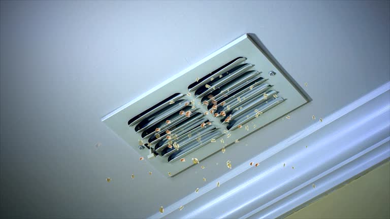 Best Professional Duct Cleaning Services  in Martinsville, VA